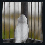 Bird, Cage, bars Bandana<br><div class="desc">2025</div>