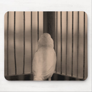 Bird, Cage, bars Mouse Mat