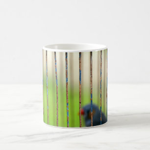 Bird, Cage Coffee Mug