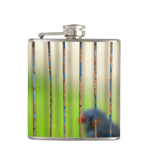 Bird, Cage Hip Flask