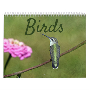 Bird Calendar