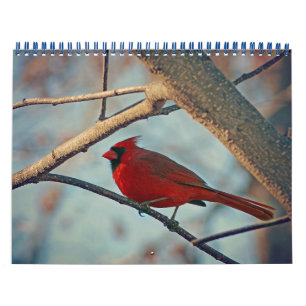 Bird Calendar