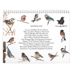 Bird Calendar 2024
