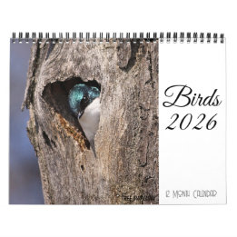 Bird Calendar 2026