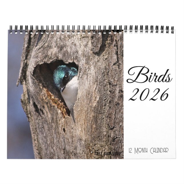 Bird Calendar 2026 (Cover)