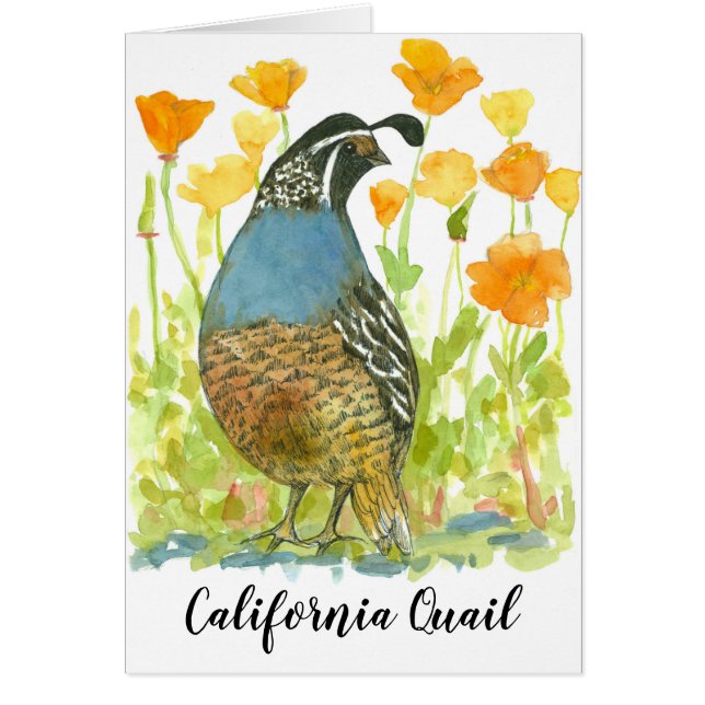 Bird California Quail Orange Poppies (Front)