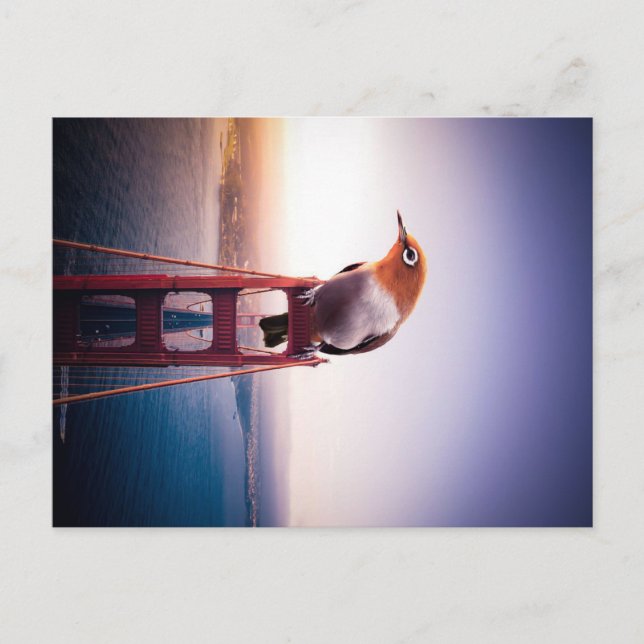 Bird canvas gift for Bird lover | Beauty Bird Announcement Postcard (Front)