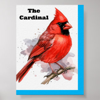 Bird Cardinal Poster
