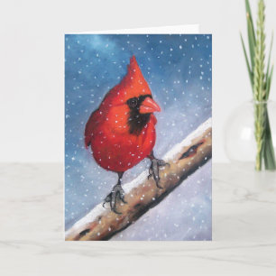 BIRD: CARDINAL: SNOW: OIL PASTEL ART HOLIDAY CARD