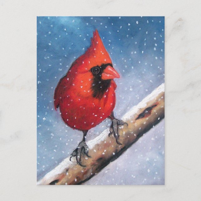 BIRD: CARDINAL: SNOW: OIL PASTEL ART POSTCARD (Front)