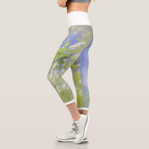 Bird Cherry Tree Blossoms Flowers Sky Capri Leggings