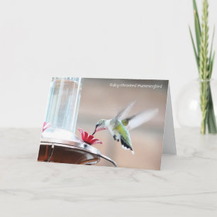 Bird Collection: Hummingbird (blank notes) Card