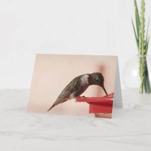 Bird Collection: Hummingbird (blank notes) Card