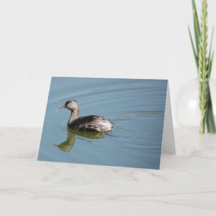 Bird Collection: Least Grebe (blank notes)  Card