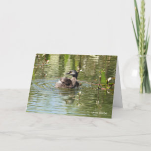 Bird Collection: Least Grebe (blank notes) Card