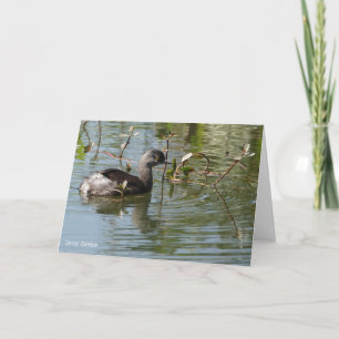Bird Collection: Least Grebe (blank notes) Card