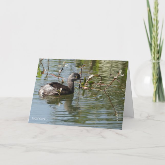 Bird Collection: Least Grebe (blank notes) Card (Front)