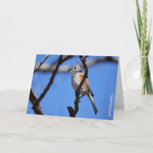 Bird Collection: Tufted Titmouse (blank notes) Card