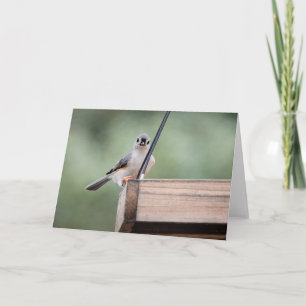 Bird Collection: Tufted Titmouse (blank notes) Card