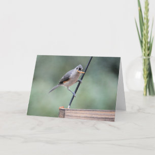 Bird Collection: Tufted Titmouse (blank notes) Card