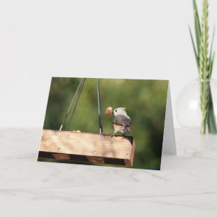 Bird Collection: Tufted Titmouse (blank notes) Card