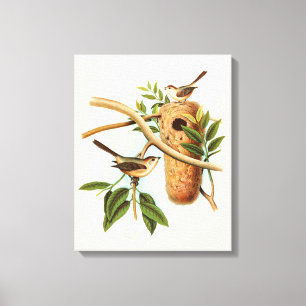 Bird Couple on a Nest Perched on a Branch Canvas Print
