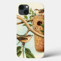 Bird Couple on a Nest Perched on a Branch