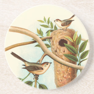 Bird Couple on a Nest Perched on a Branch Coaster
