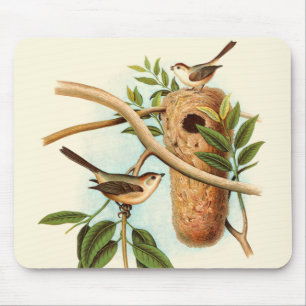 Bird Couple on a Nest Perched on a Branch Mouse Mat