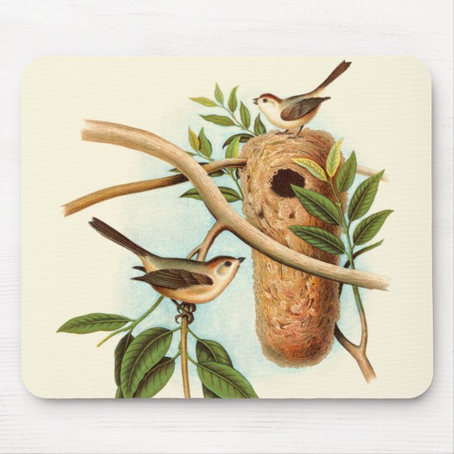 Bird Couple on a Nest Perched on a Branch Mouse Mat (Front)
