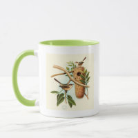 Bird Couple on a Nest Perched on a Branch