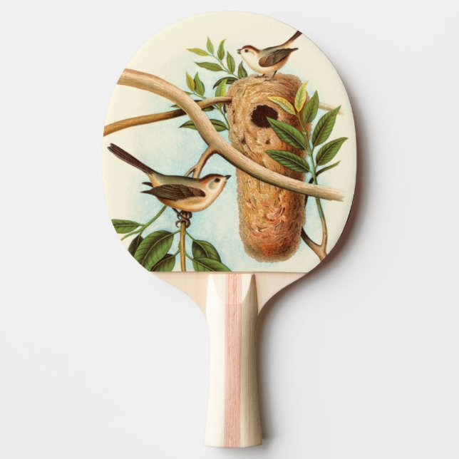 Bird Couple on a Nest Perched on a Branch Ping Pong Paddle (Front)
