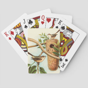 Bird Couple on a Nest Perched on a Branch Playing Cards