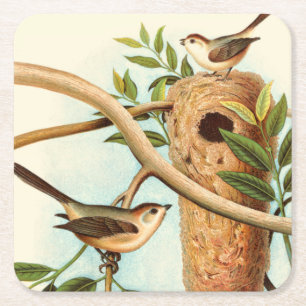 Bird Couple on a Nest Perched on a Branch Square Paper Coaster