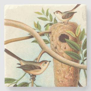 Bird Couple on a Nest Perched on a Branch Stone Coaster