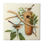 Bird Couple on a Nest Perched on a Branch Tile<br><div class="desc">This decorative art print displays a bird couple setting up their nest. The illustration conveys a feeling of togetherness and harmony while the soft pastel green,  beige and brown colours create a pleasant calming feeling. Choose this design for any rustic home decor products.</div>