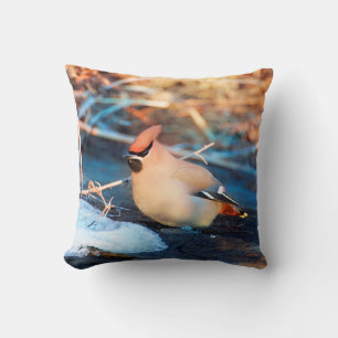 Bird Cushion