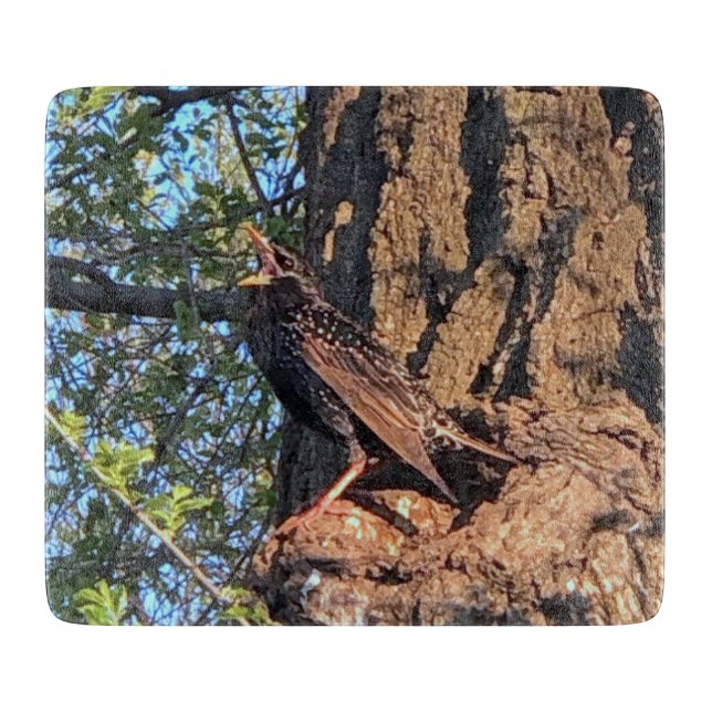 Bird Cutting Board (Front)