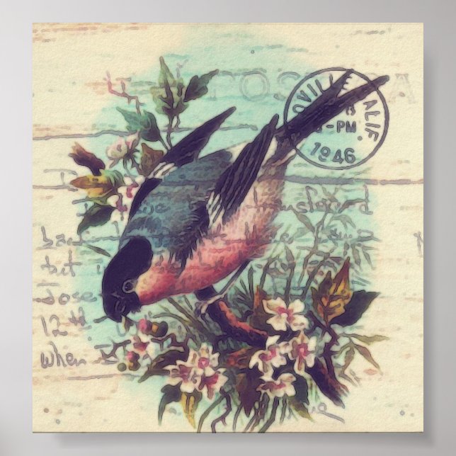 Bird Digital Art Poster (Front)