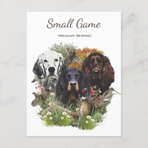 Bird dog , pheasant  hunting postcard