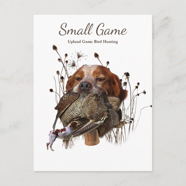 Bird dog , Upland Game Bird Hunting Postcard (Front)