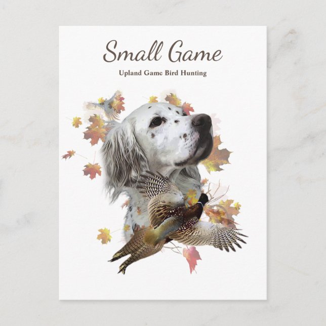 Bird dog , Upland Game Bird Hunting Postcard (Front)