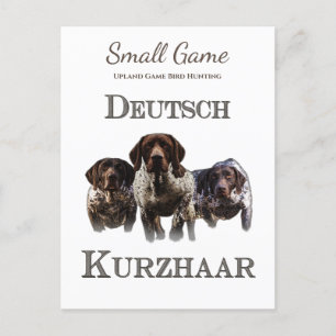 Bird dog , Upland Game Bird Hunting Postcard