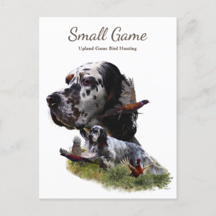 Bird dog , Upland Game Bird Hunting Postcard