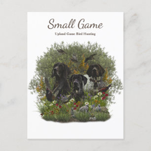 Bird dog , Upland Game Bird Hunting Postcard