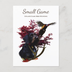 Bird dog , Upland Game Bird Hunting Postcard