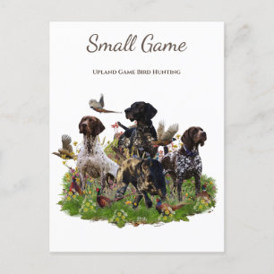 Bird dog , Upland Game Bird Hunting Postcard