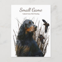 Bird dog , Upland Game Bird Hunting