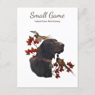 Bird dog , Upland Game Bird Hunting Postcard
