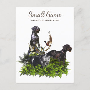 Bird dog , Upland Game Bird Hunting Postcard
